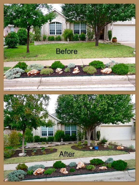 Curb-strip transformation: weedy median becomes a tidy bed with native plants and limestone boulders